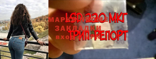 PSILOCYBIN Осташков