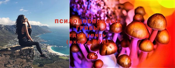 прущая мука Абаза